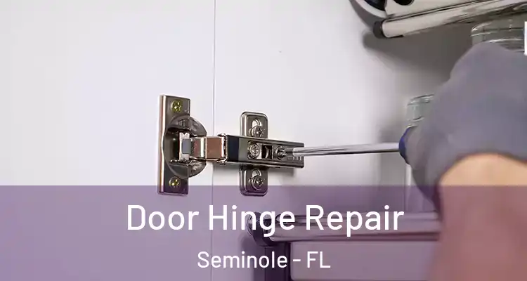  Door Hinge Repair Seminole - FL